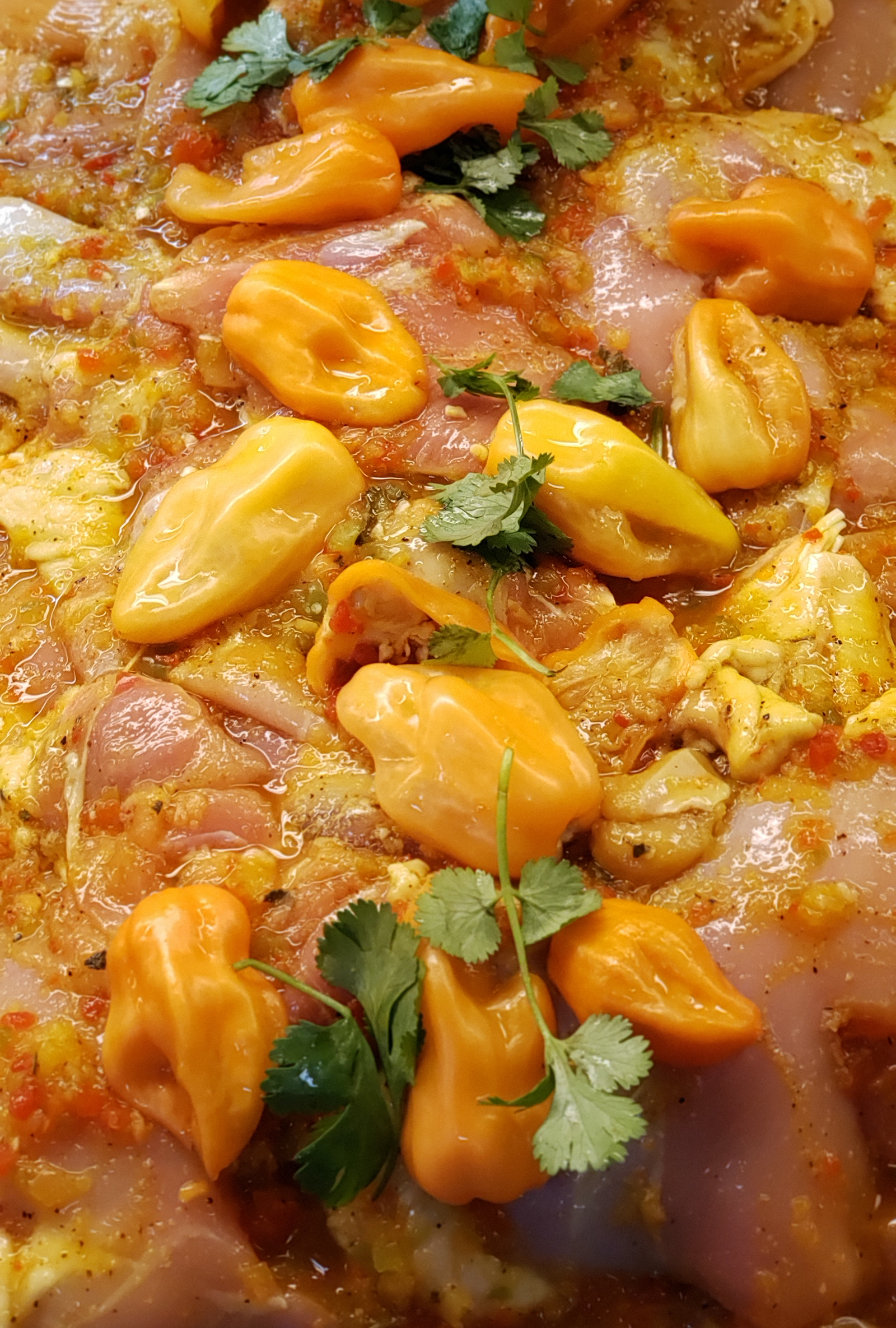 Habañero Boneless Chicken Thigh Meat